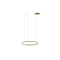 Azzardo Halo arany távirányítós LED függesztett lámpa (AZ-5344) LED 1 izzós IP20