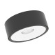 Orlicki Design Neo Nero Slim LED / Ufo Bianco fekete LED mennyezeti lámpa (OR-OR84054) LED 1 izzós IP20