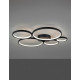 Trio Rondo fekete LED mennyezeti/fali lámpa (TRI-622610532) LED 1 izzós IP20